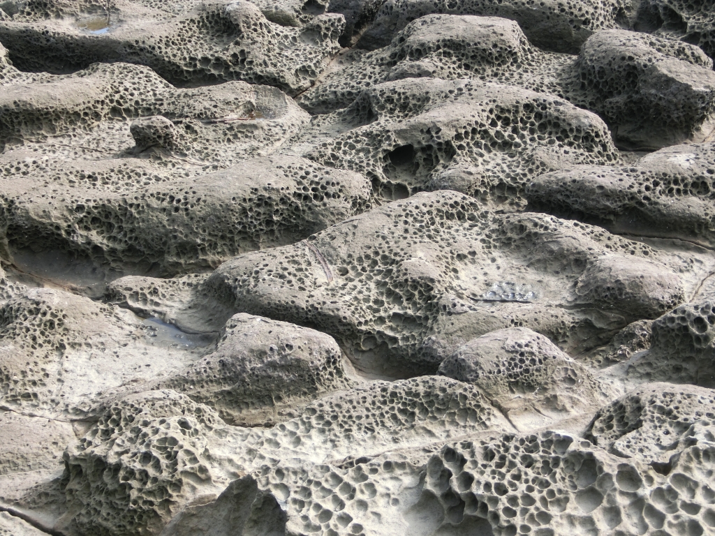 鼻頭角步道．地質公園_91446