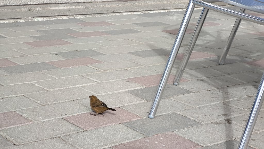 武法奈尾山_1946716