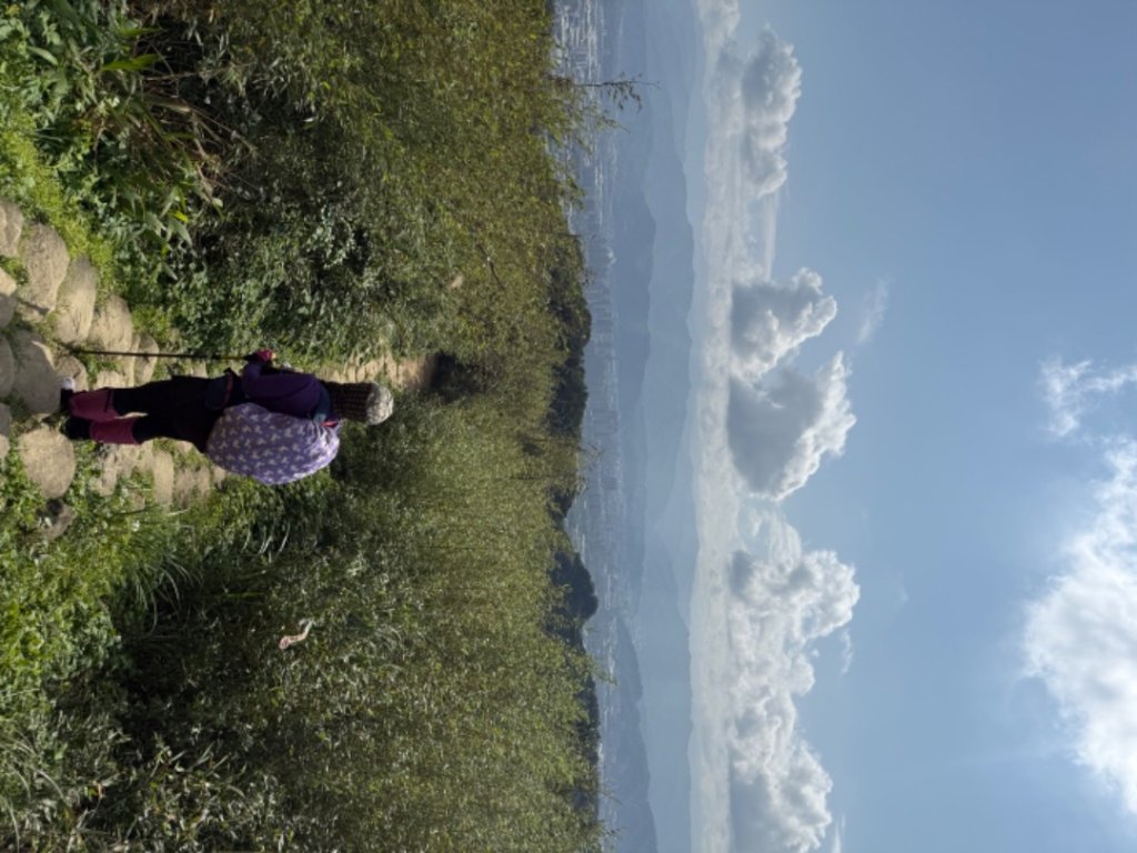 鳳鳴-龜山-鶯歌六連峰縱走/樹林大凍山-鶯歌蛋石山-鶯歌陶瓷博物館_2697048