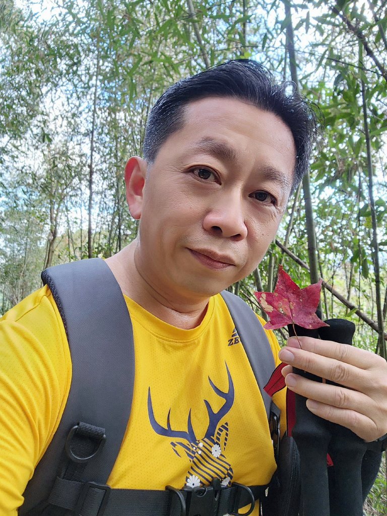 小百岳集起來-馬那邦山_2181237