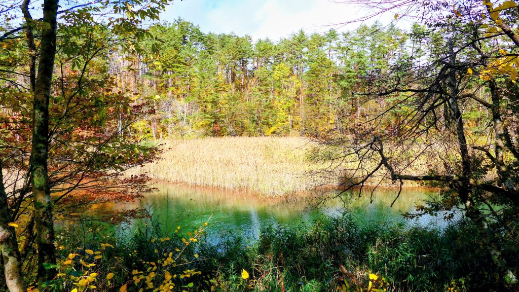 福島縣五色沼_2929376