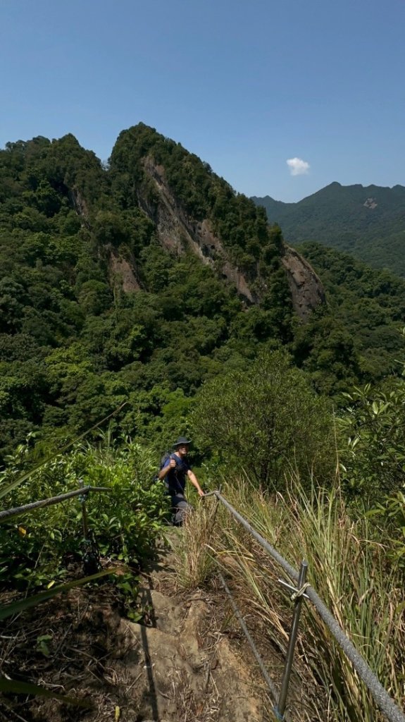 孝子山、普陀山、慈母峰賞鹿子野百合O走_2592910