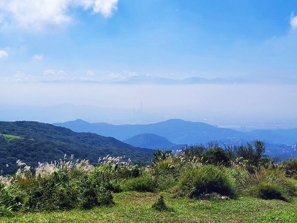 【芒花舞秋風】草山精典賞芒勝地連走_2336391