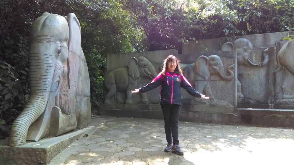 【臺北大縱走 6】象山拇指山南港山九五峰_918390