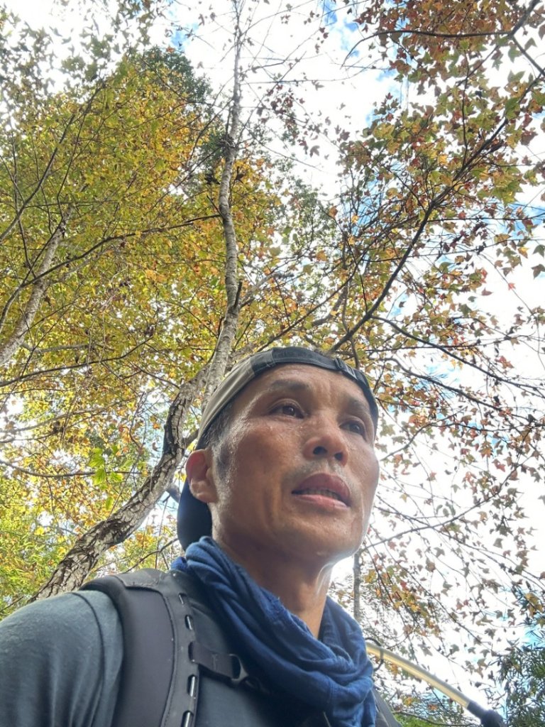 20251218溪頭鳳凰山台寅山上天文台至妖怪村買菜O繞_2965737