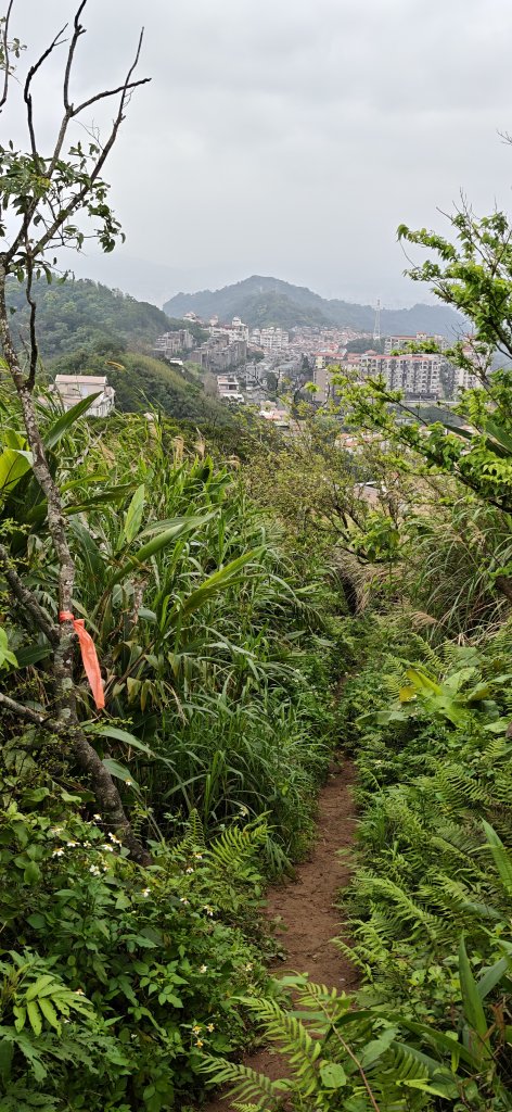2026-0307 造鎮-文筆山-天華山-南勢角山-蘭花亭-牛伯伯_3015833