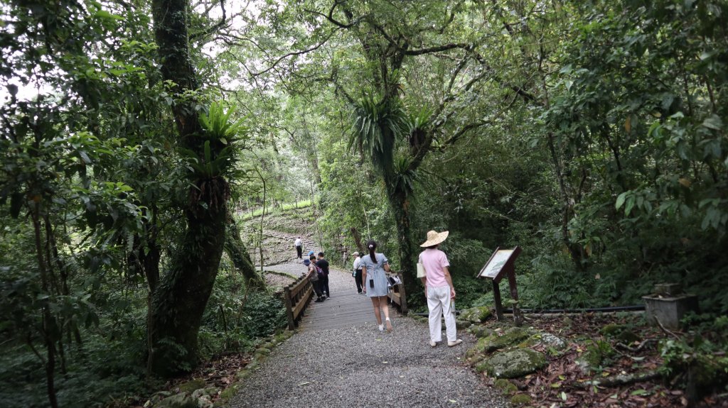 福山植物園登山健行趣(步道)_2269359