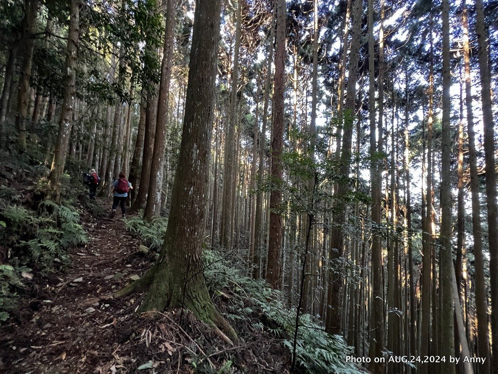 民都有山就是漂亮的夏天冷氣房_2582211