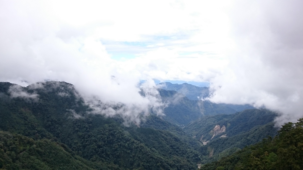 鳶嘴山步道_24426