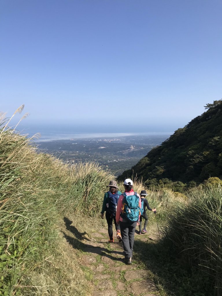 2022.3.12 陽明山縱走 西段 (清天宮-火燒山-向天山-面天山-大屯西峰-大屯南峰-大屯主峰_1664465