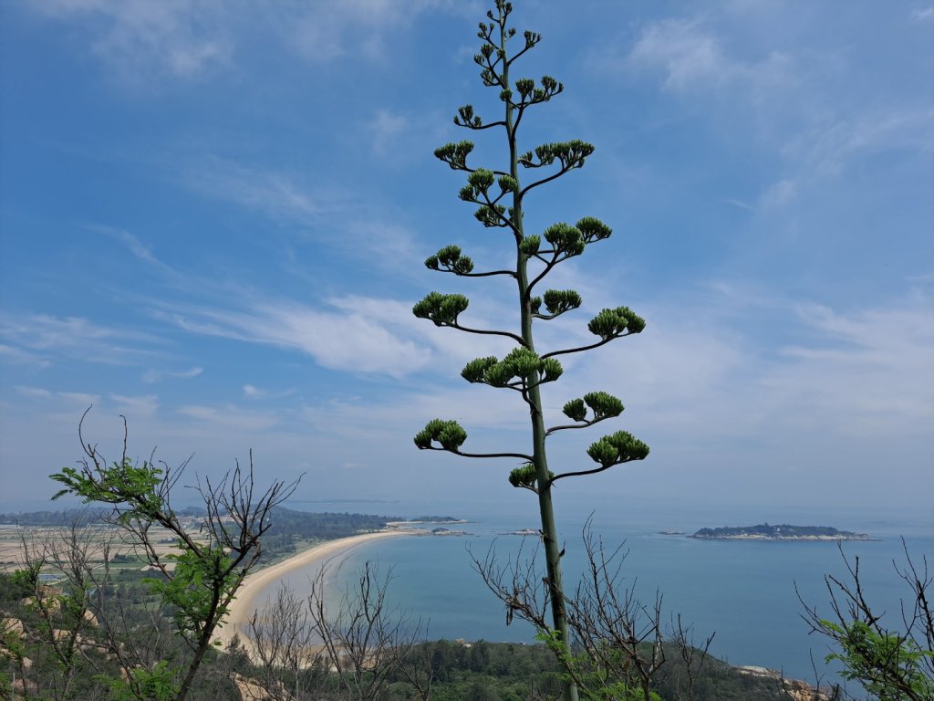 金門：獅山、東村炮測基地_2487791