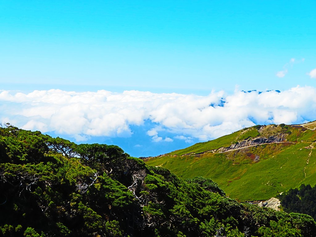 搭公車爬CP值最高的百岳：合歡群峰封面圖
