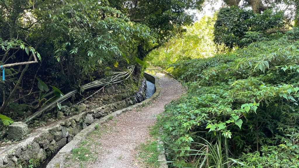 台北｜北投 十八拐圳步道、東昇步道_1518638