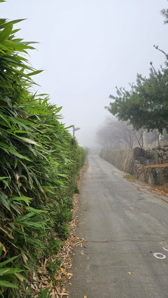 【馬年走馬山，馬到就成功！】🐴馬年馬路要走，馬那邦🏔️也要登！O繞11K，爬升900M，🥾腿在_2977172