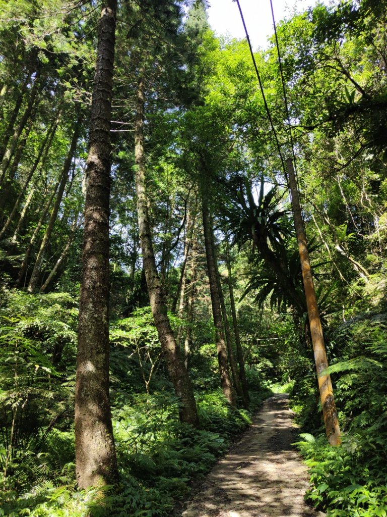2023.08.26 草湳登二格山_2468900