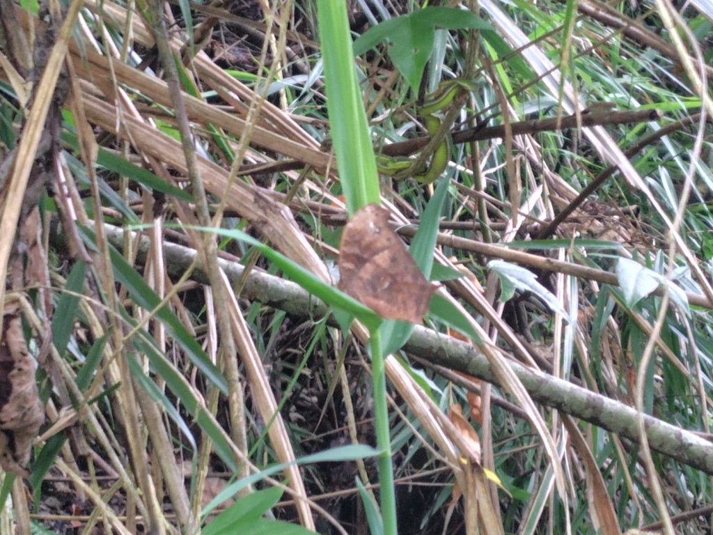 廢棄的步道_2531828