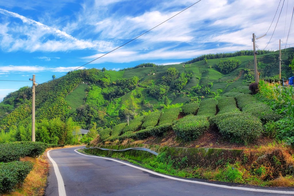 瑞峰。海鼠山步道_1111167