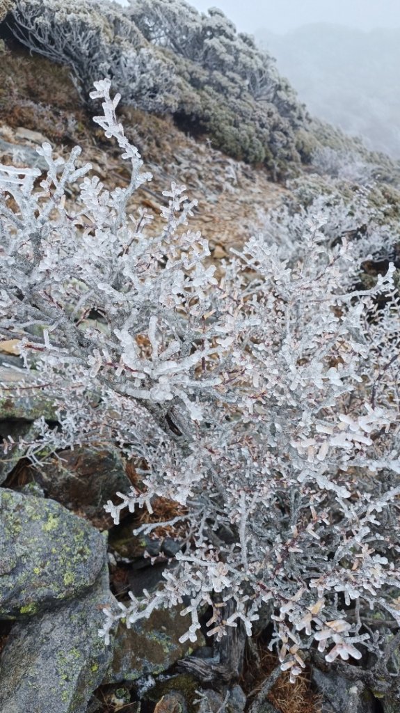 玉山南峰_2116602