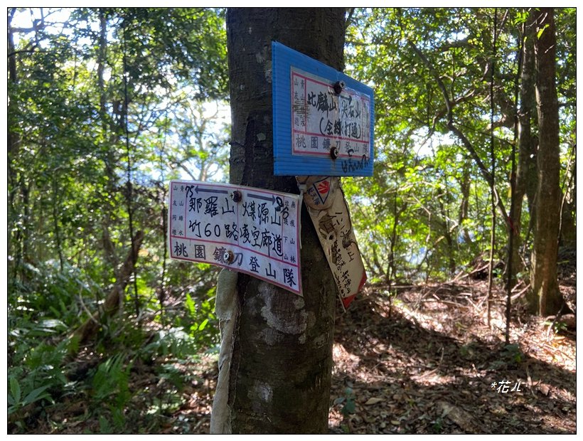 那羅山、煤源山、凌空廊道連走_2684259