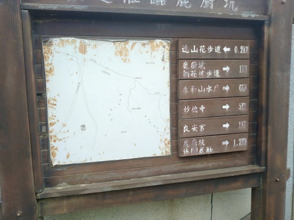 鹿廚坑健行步道－迷鹿亂走封面圖