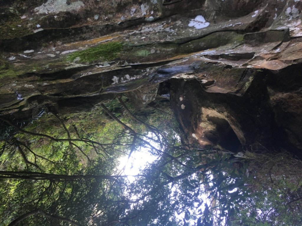 獅仔頭山、粽串尖、大丘田山、雲海101_2027639