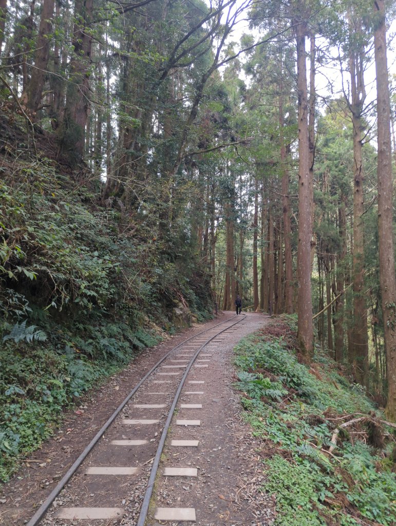 2026.02.14－特富野古道_3013689