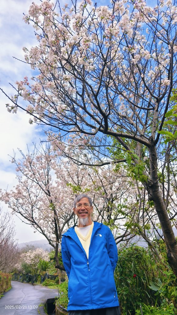 #十八份拐圳步道 #墨染櫻 2/21_2717219