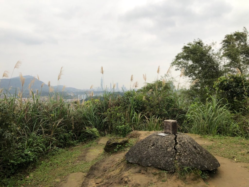 新北市汐止區小南港山3-828賞山櫻花_2010198