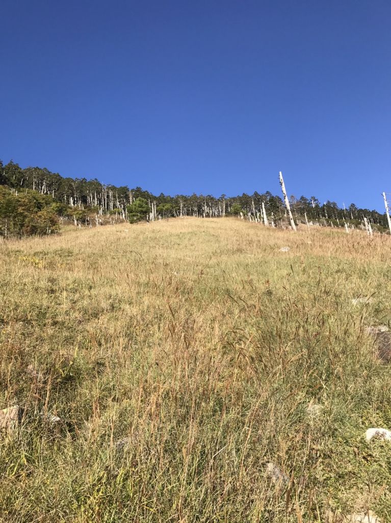 雪山主峰、東峰106.9.30-10.1_179333