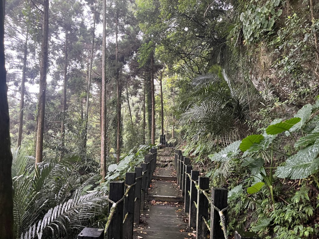 [皮皮獅Hike客任務-03/10] 2024_0720 五指山橫向登山步道封面圖