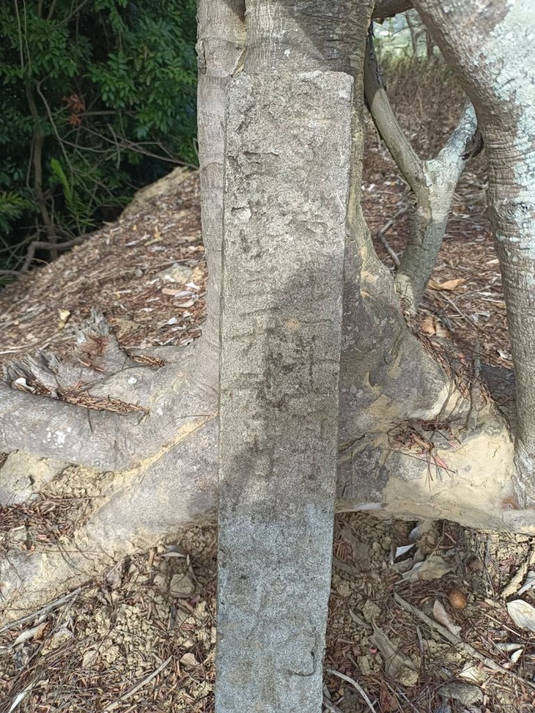 20230114台中太平廍子坑山南峰_1993406