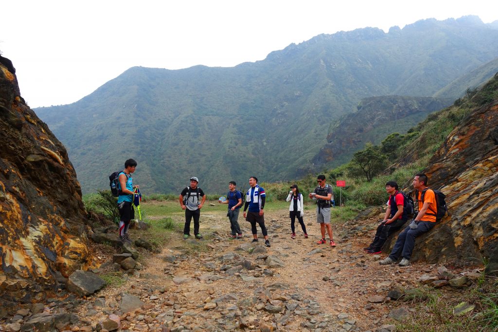 鋸齒稜、伏牛礦體、黃金洞 O型_283117