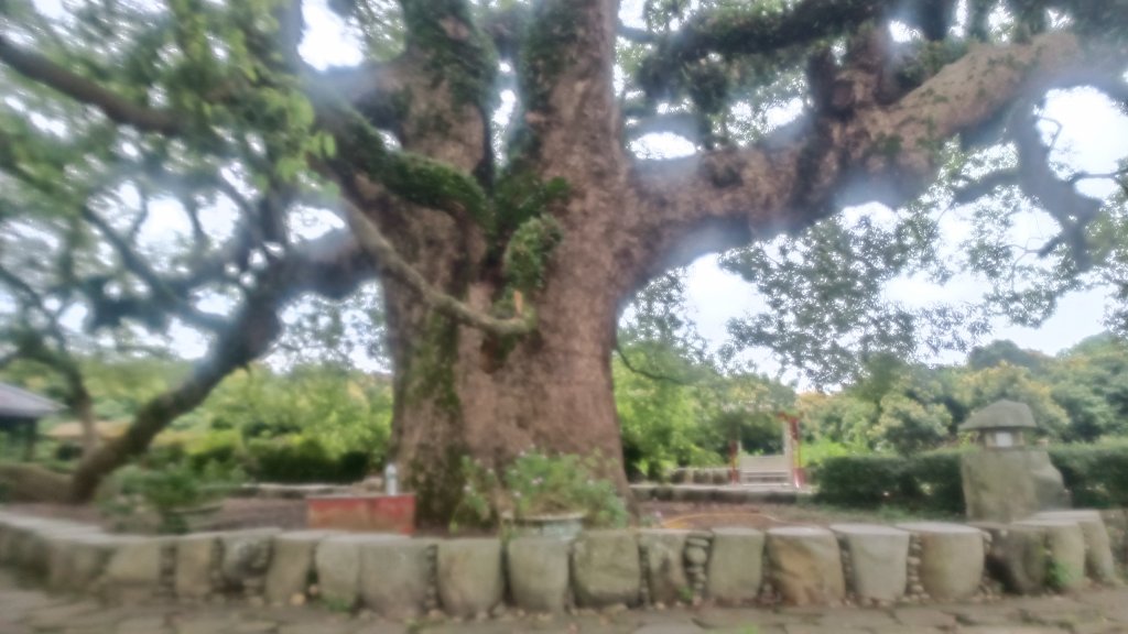 梅島山(芙蓉瀑布)_1753704