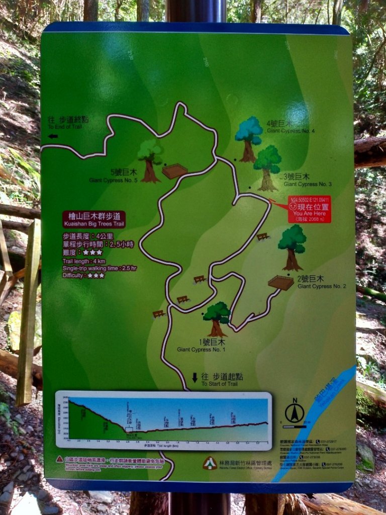 檜山巨木群步道_1662913