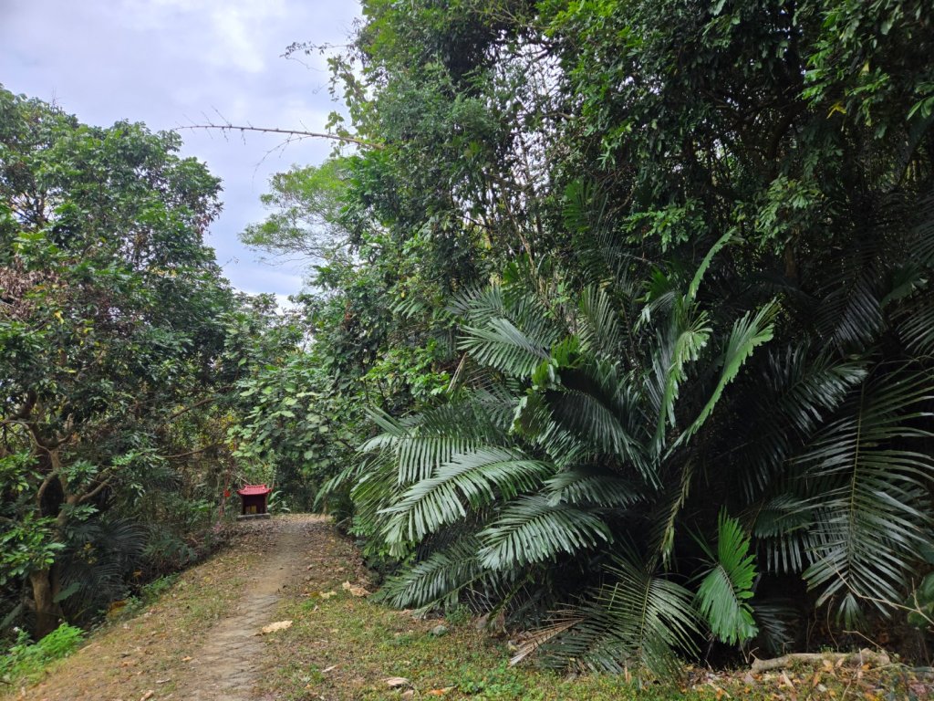風空子山_2983206