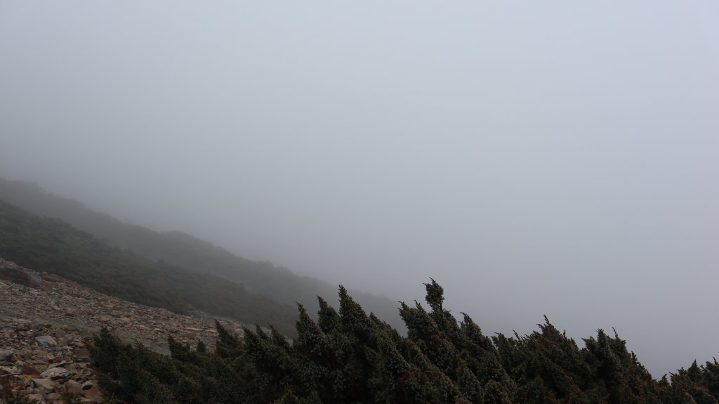 玉山主峰登山健行趣(百岳01號)_2041465