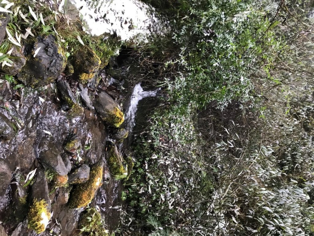 步道巡訪員 l 鎮西堡巡訪員12月巡訪-白雪皚皚_1235013