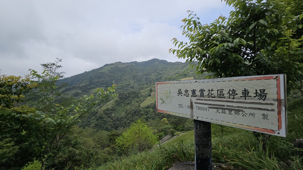 240329-第40座小百岳#094太麻里山O繞。美美兔不放過任何一個可以爬山的時間。_2469398