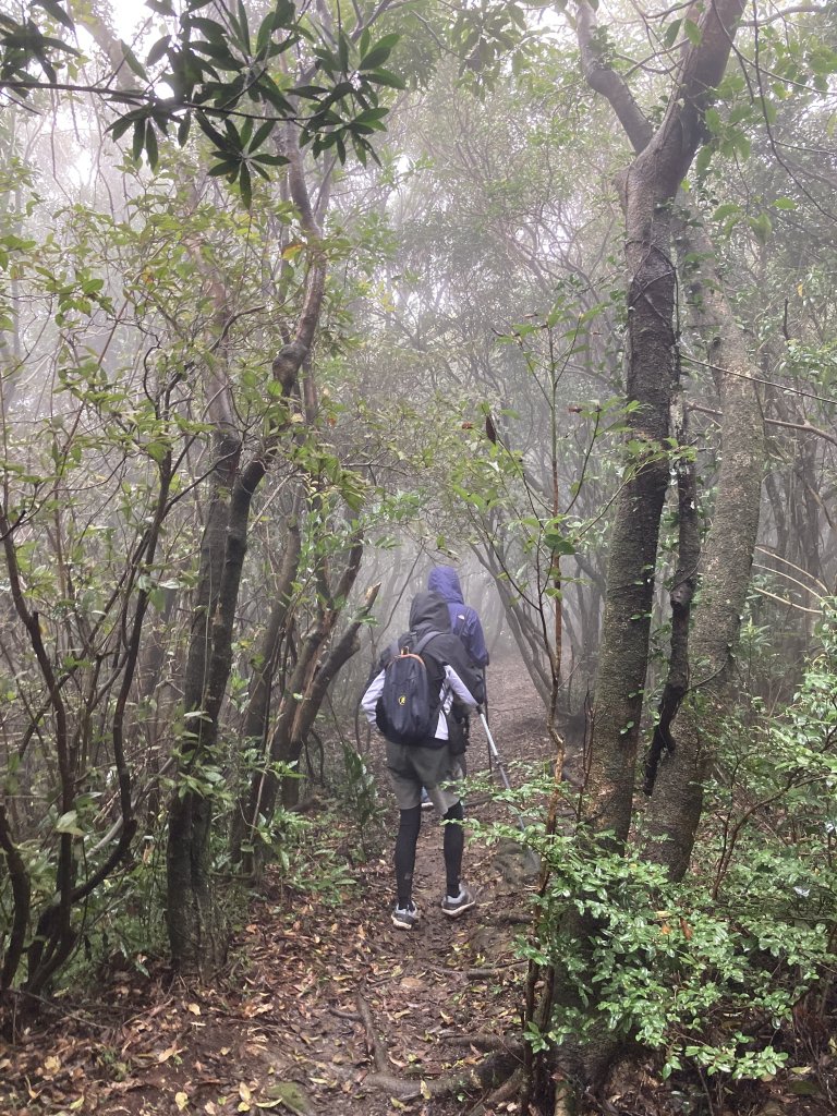 獅仔頭山登山步道_2437058