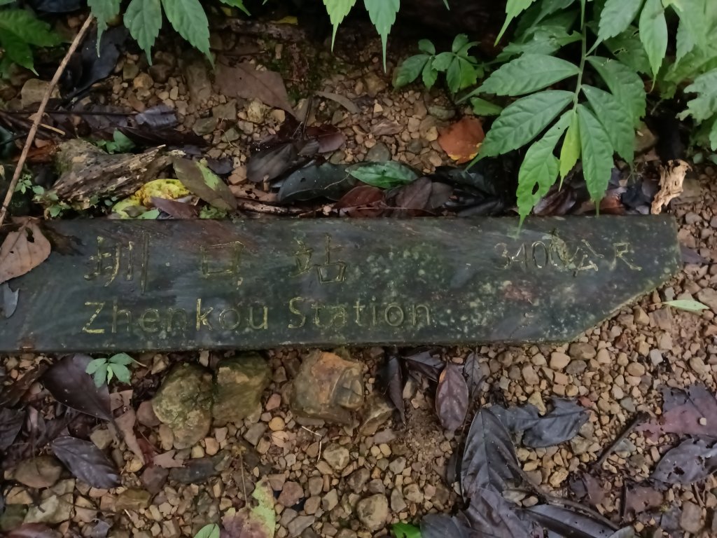 平溪區善覺寺步道+畝畝山北稜線+畝畝山+石硿子瀑布+灰窯瀑布O型_2940082