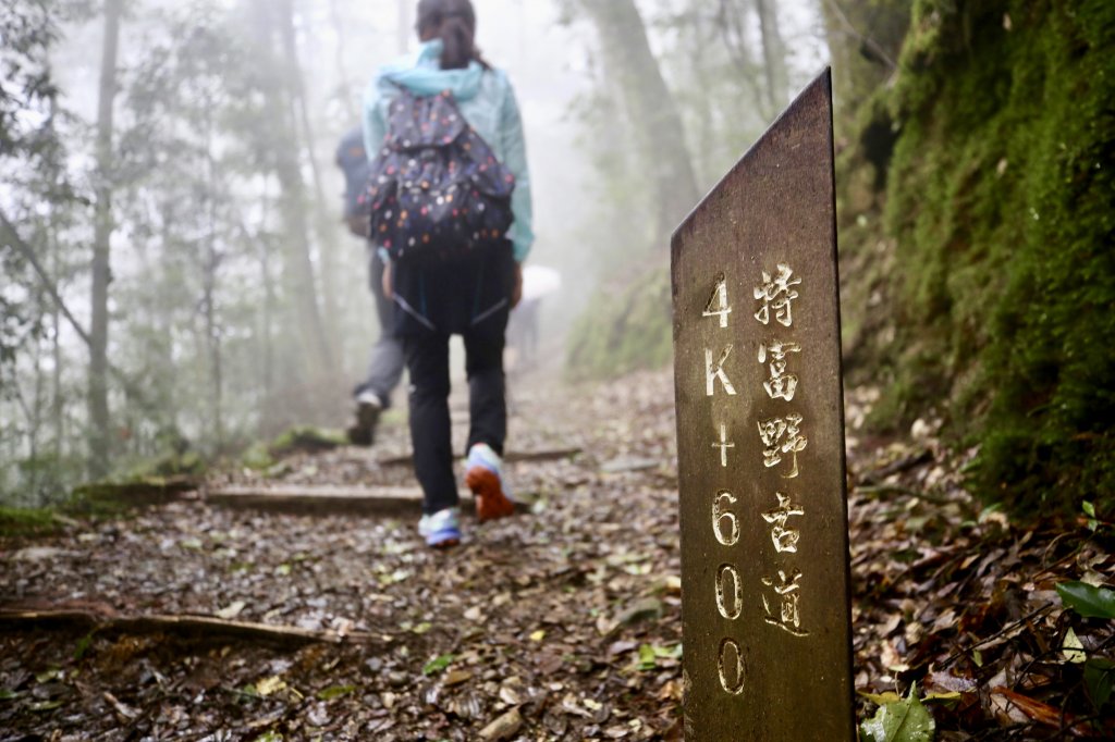 特富野古道_590470