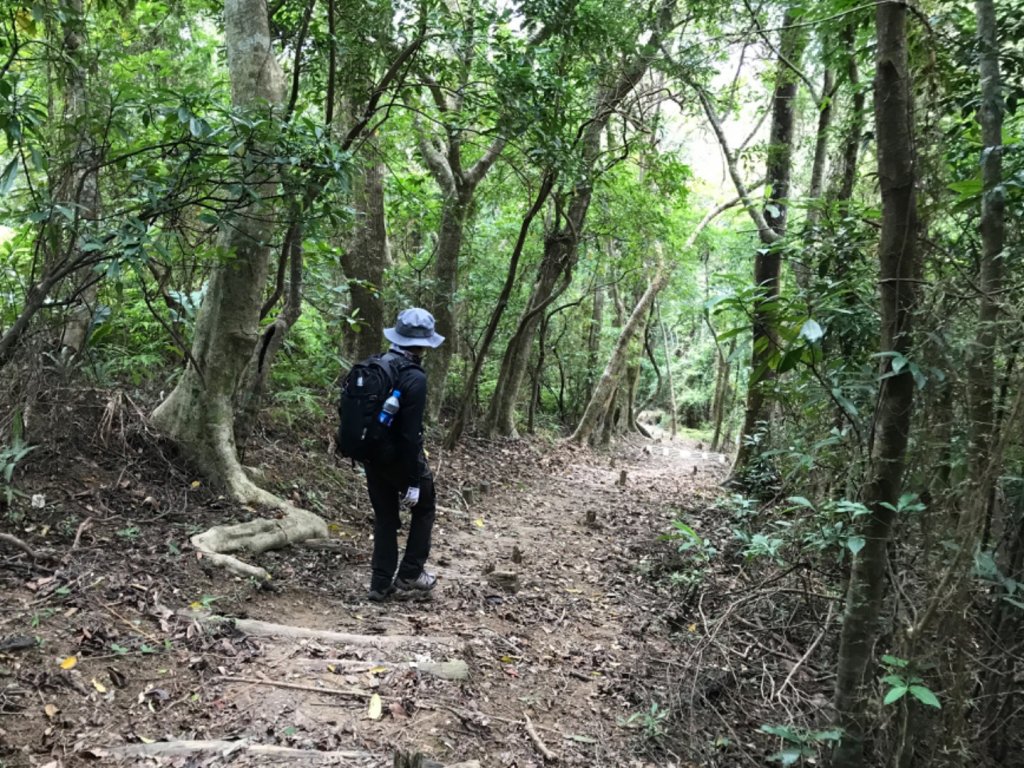 大南澳越嶺古道_553614