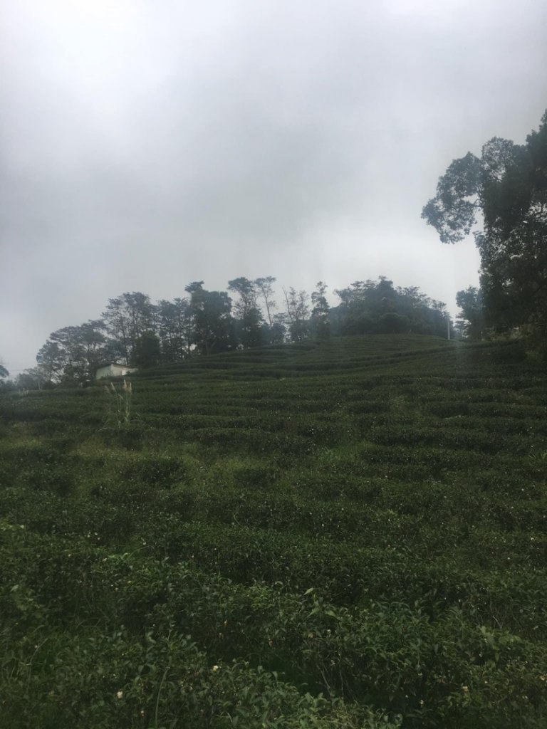 獅山古道、六寮古道、獅頭山o走_1924346