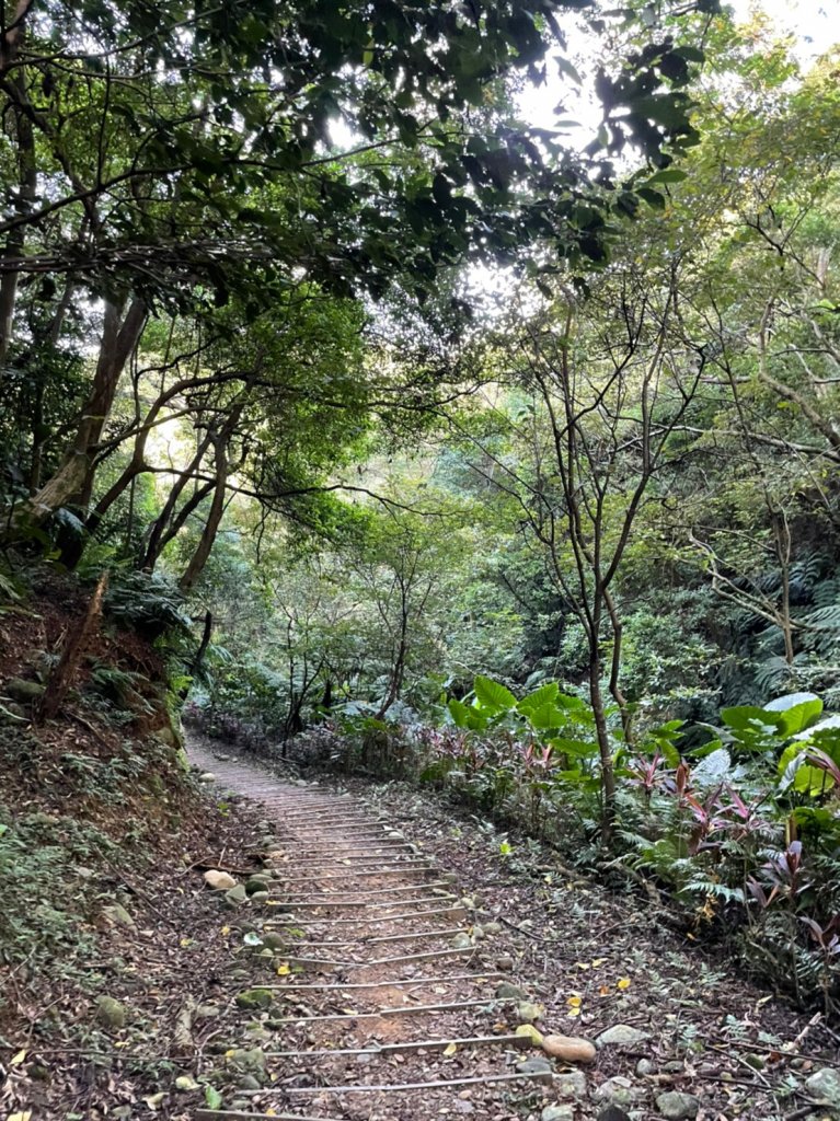老公崎步道_1841583