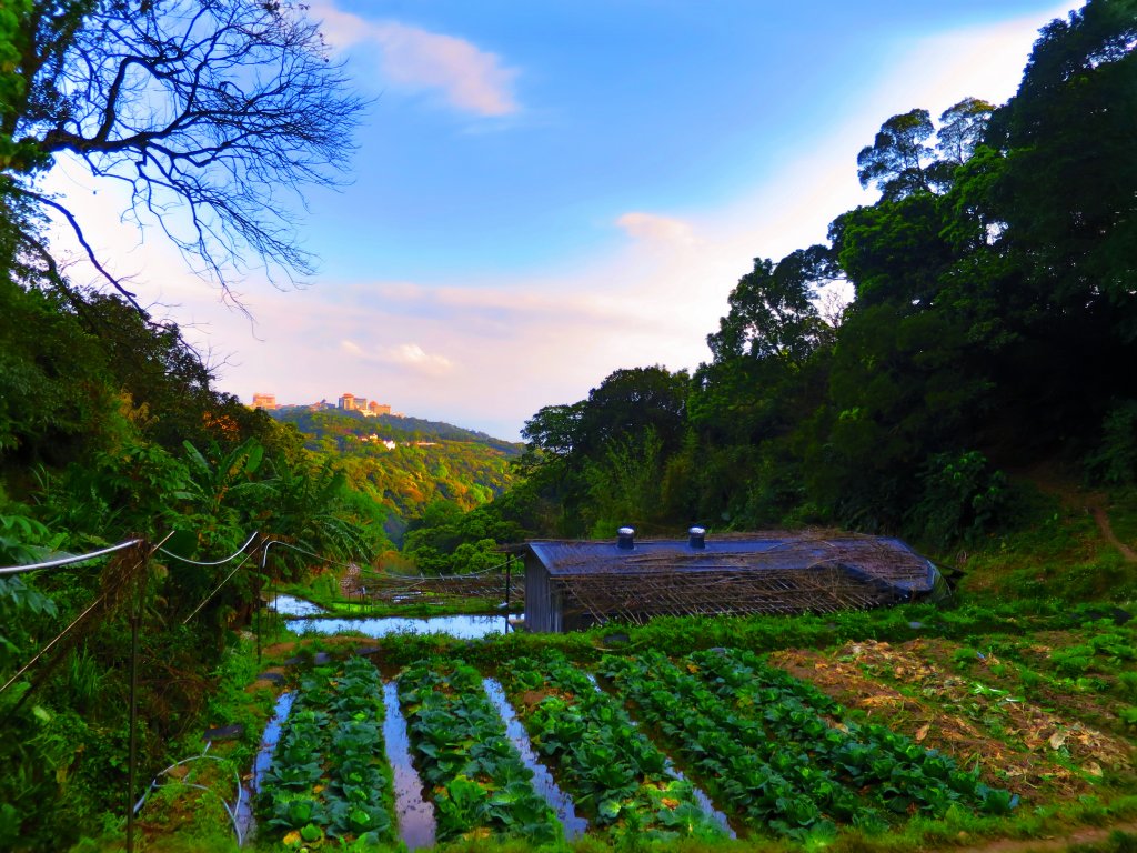 【台北北投】走十八份水圳步道 賞觀音山夕照_1743565