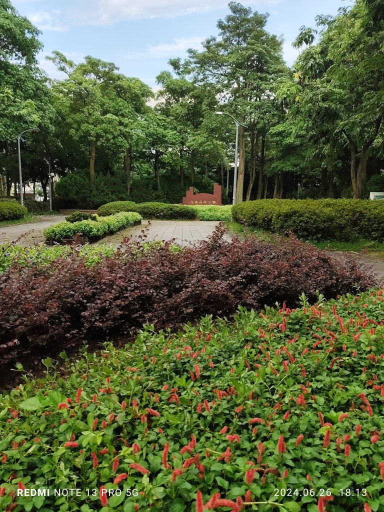 大安森林公園、寧夏夜市、士林夜市【走路趣尋寶】【臺北健走趣】_2536356