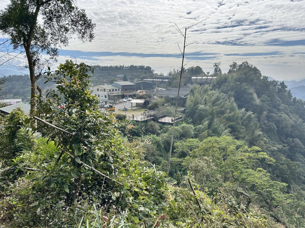 二延平步道_2969797