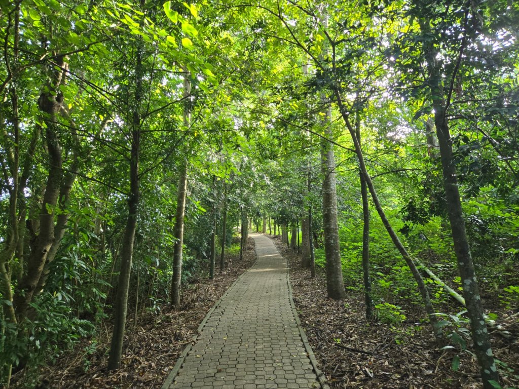 虎頭埤環湖步道（新化虎頭山）_2890919
