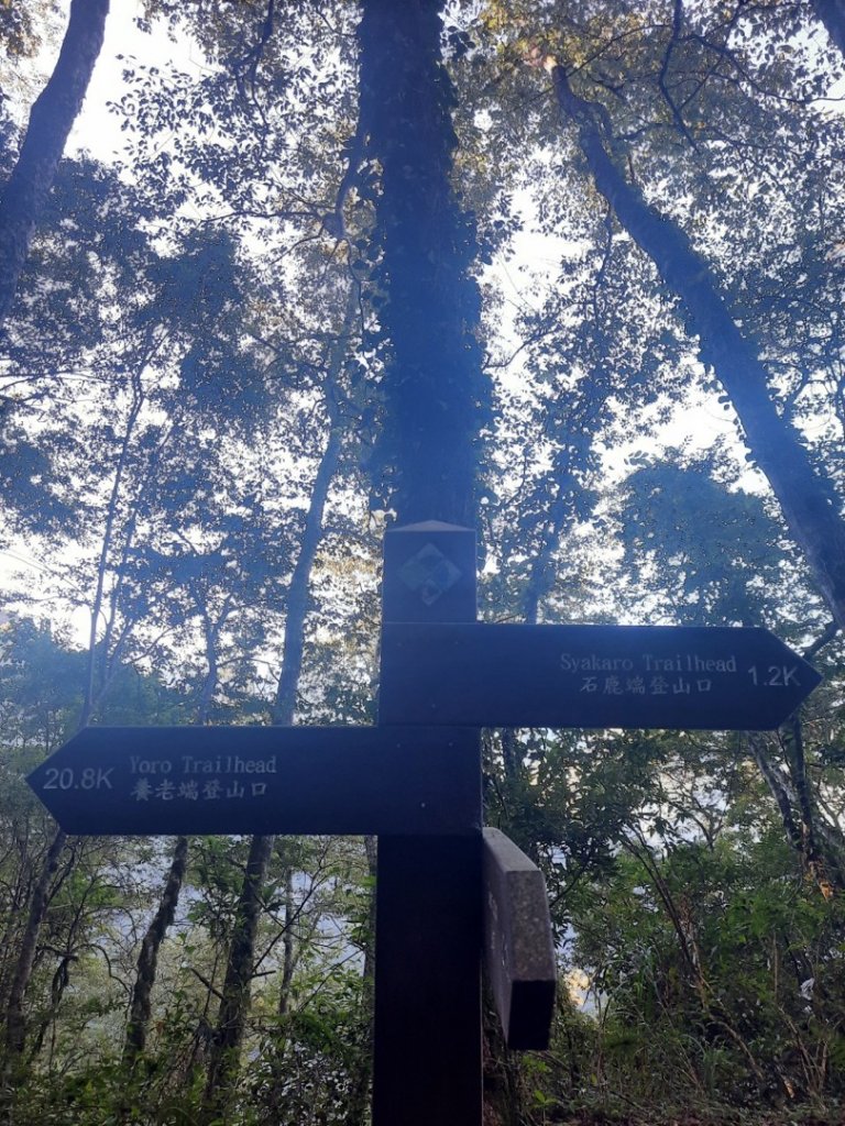 雙十霞喀羅_1484564