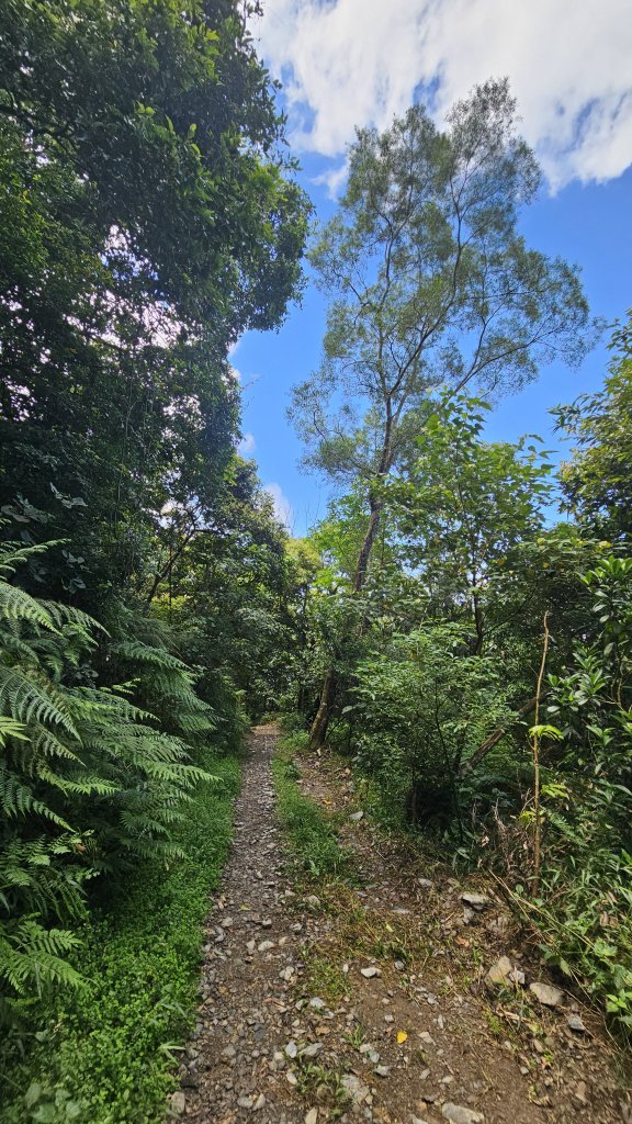 【12訪尾寮山-魔王小百岳】哥走的不是山，走的是平靜與滿足。_2900576